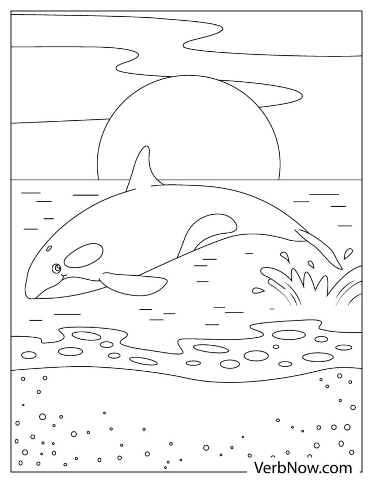 113 Whale Coloring Pages for Kids Printable 24