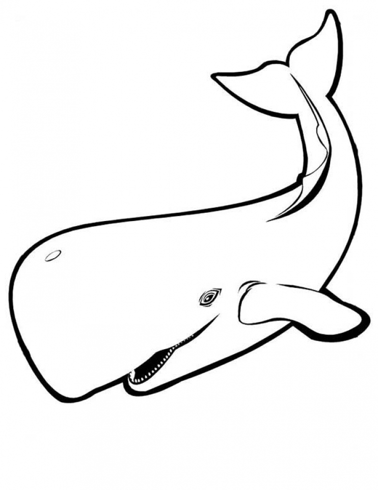 113 Whale Coloring Pages for Kids Printable 27