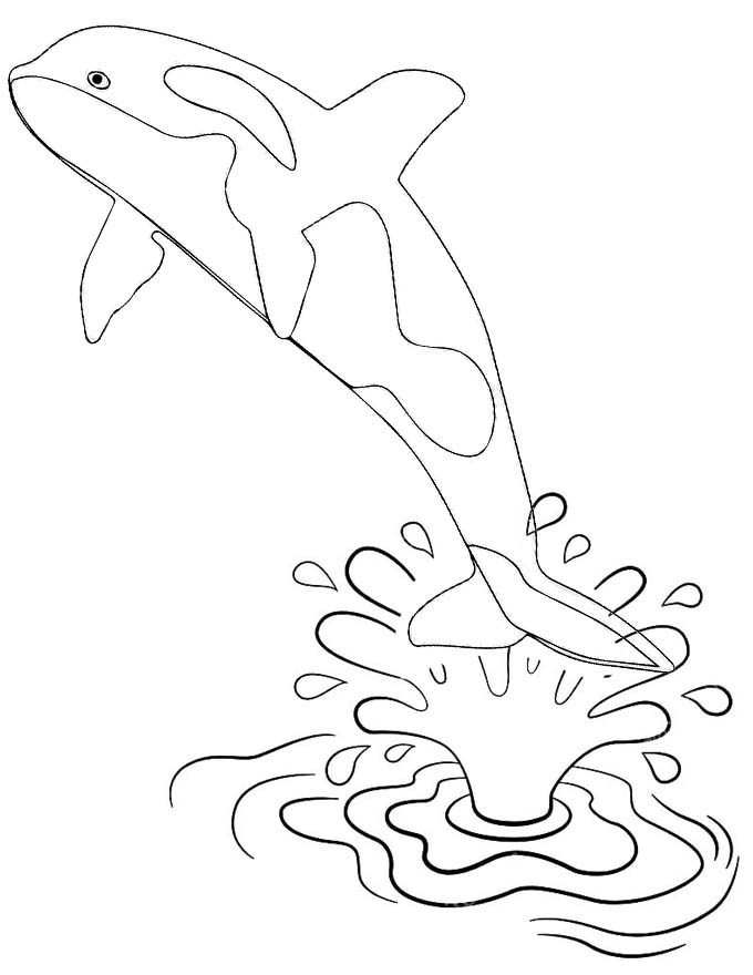 113 Whale Coloring Pages for Kids Printable 28