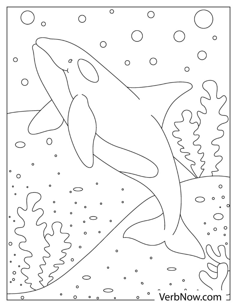 113 Whale Coloring Pages for Kids Printable 32