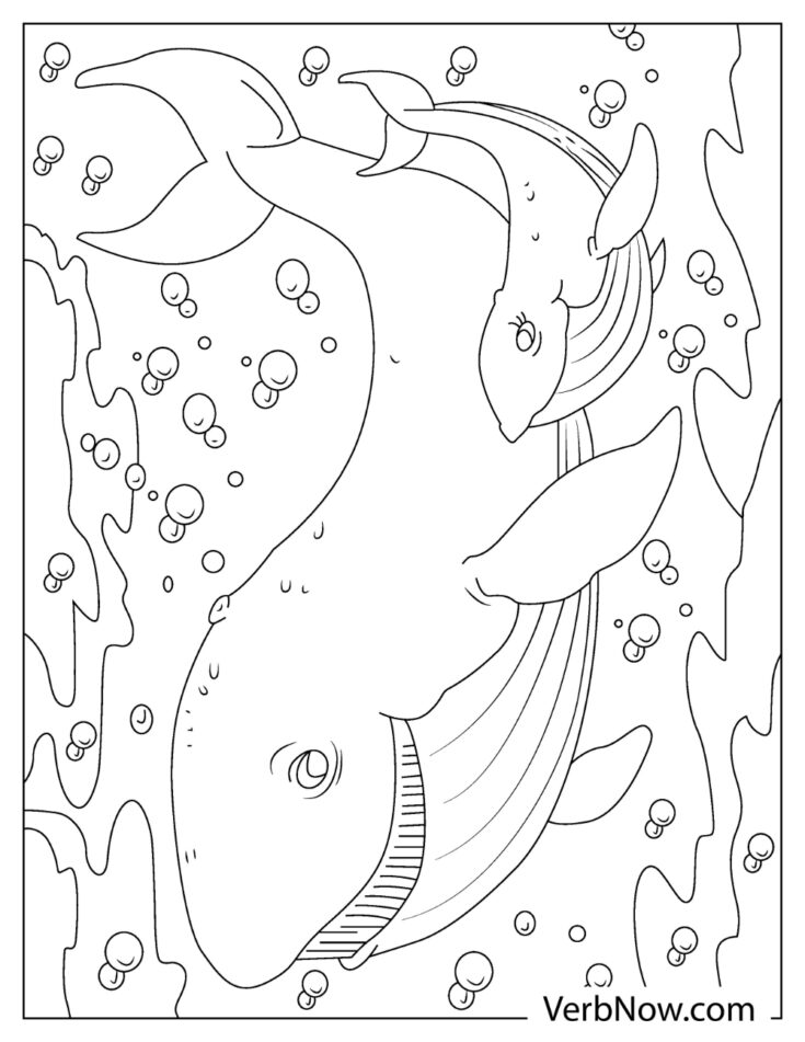 113 Whale Coloring Pages for Kids Printable 33