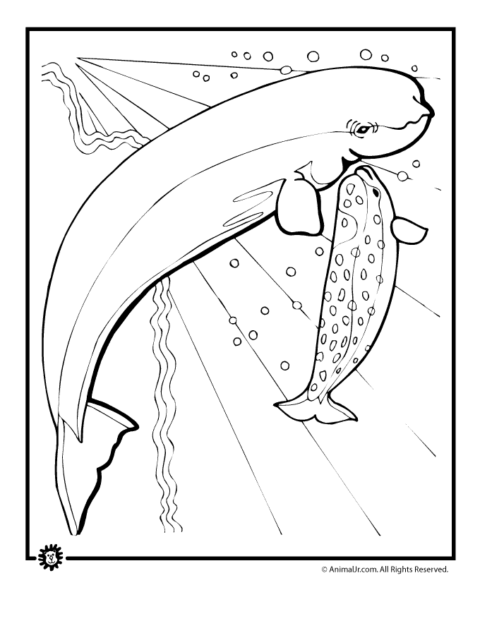 113 Whale Coloring Pages for Kids Printable 34