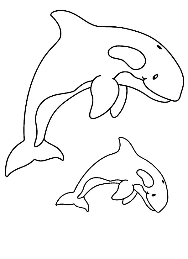 113 Whale Coloring Pages for Kids Printable 37