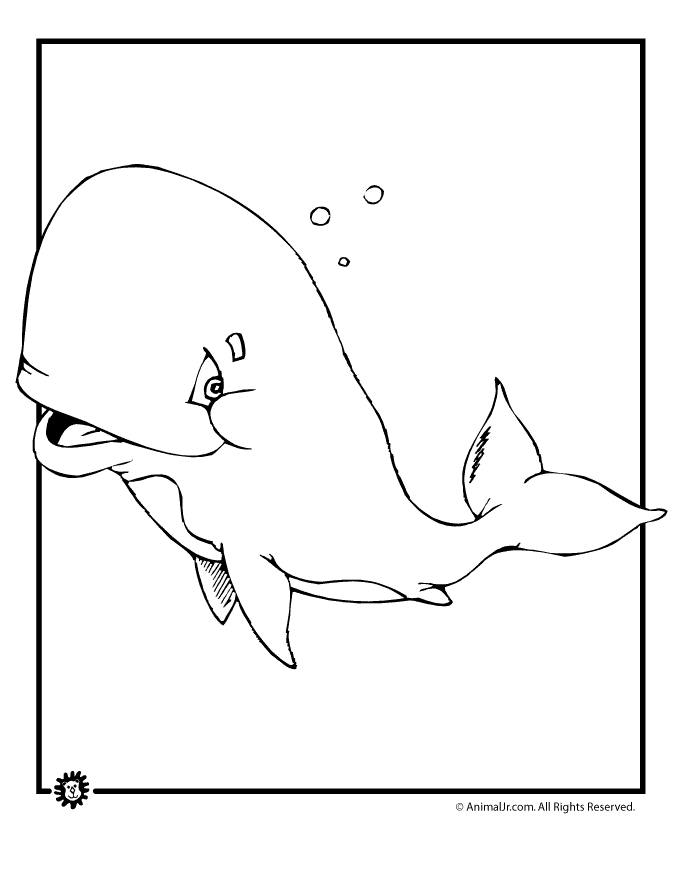 113 Whale Coloring Pages for Kids Printable 43