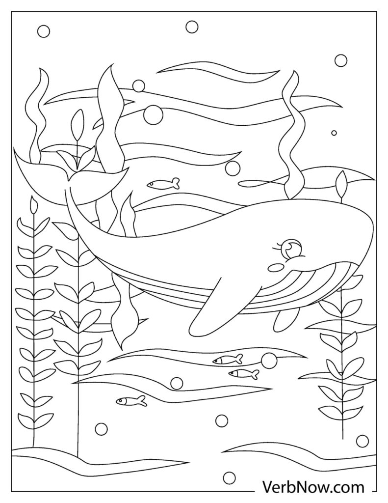 113 Whale Coloring Pages for Kids Printable 45