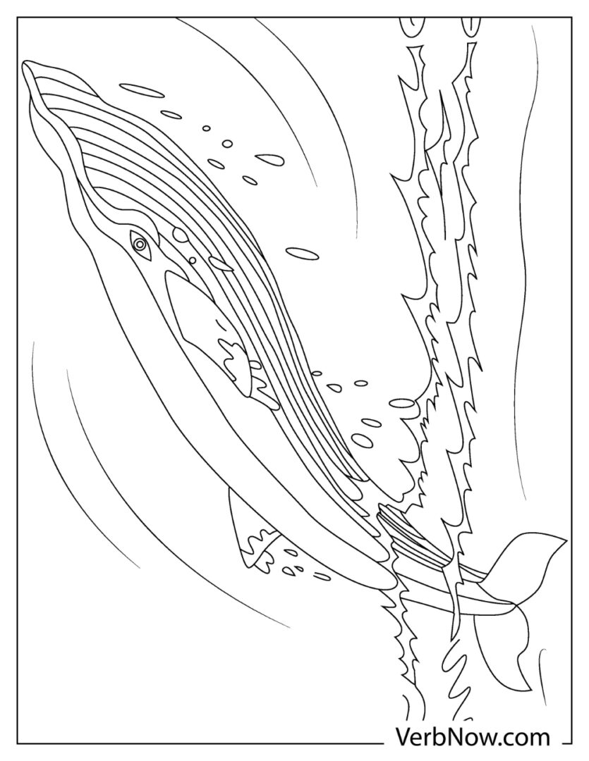 113 Whale Coloring Pages for Kids Printable 47