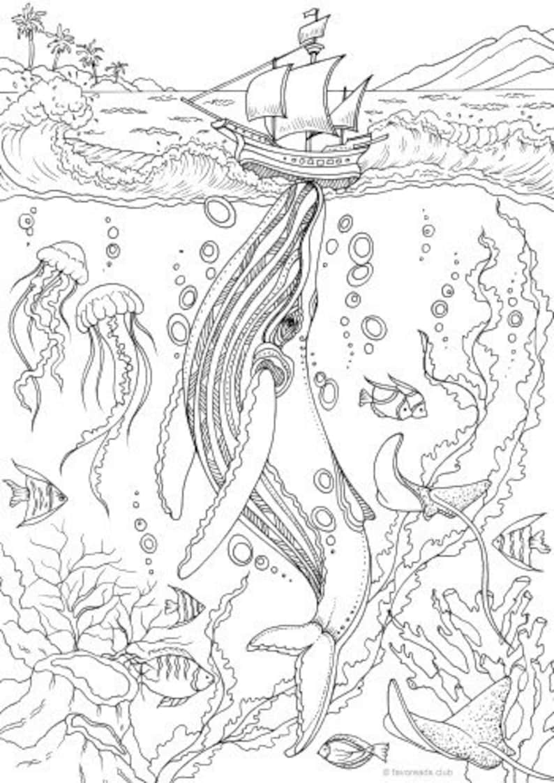 113 Whale Coloring Pages for Kids Printable 48