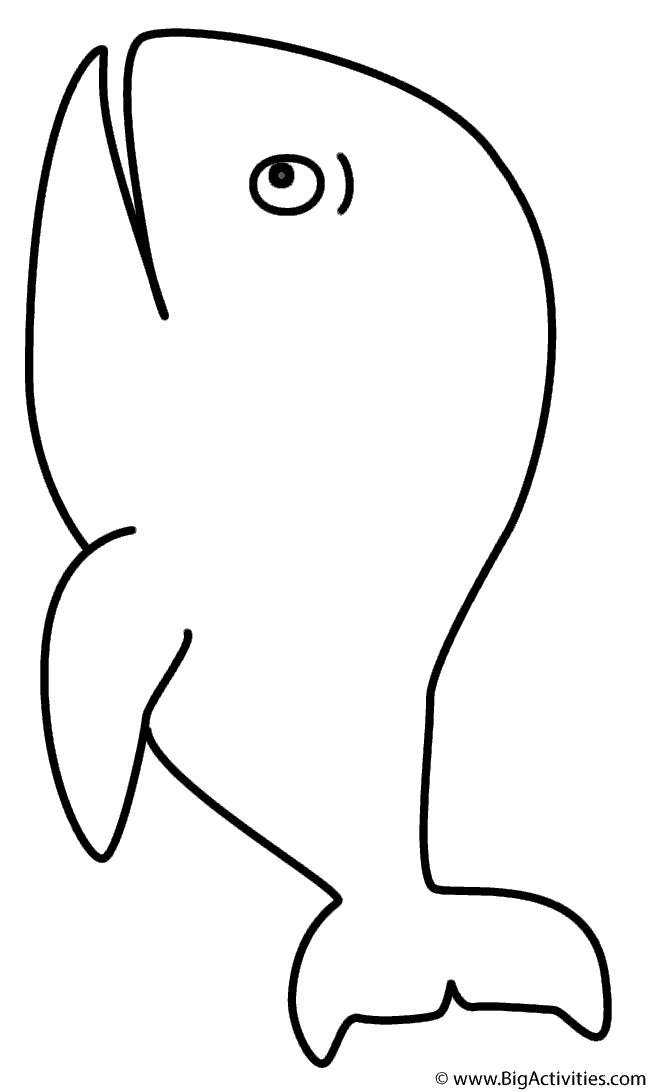 113 Whale Coloring Pages for Kids Printable 5