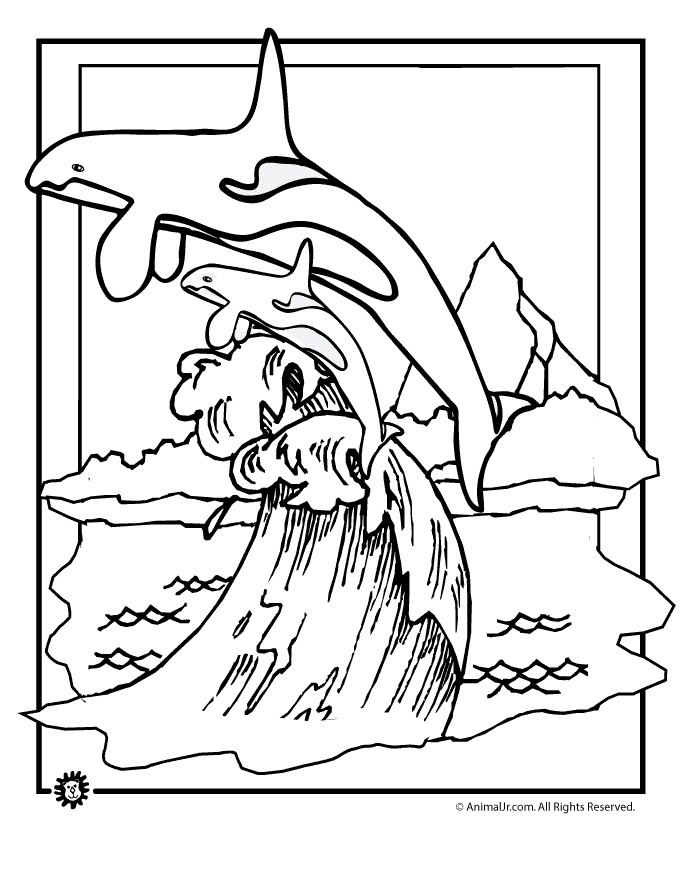 113 Whale Coloring Pages for Kids Printable 54