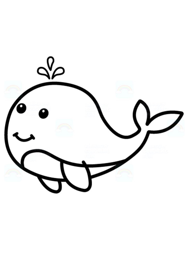 113 Whale Coloring Pages for Kids Printable 57