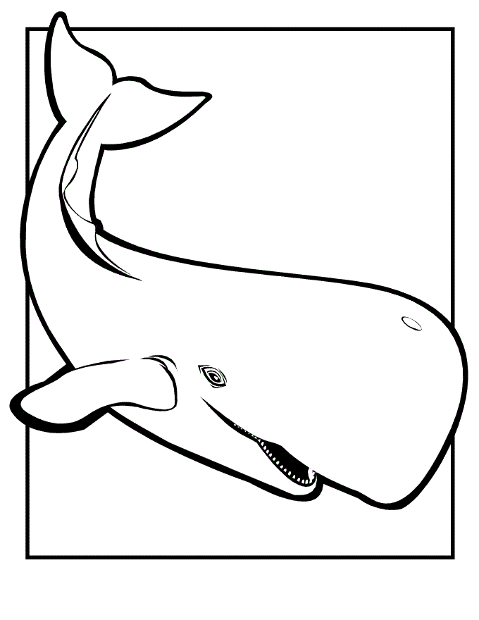 113 Whale Coloring Pages for Kids Printable 72