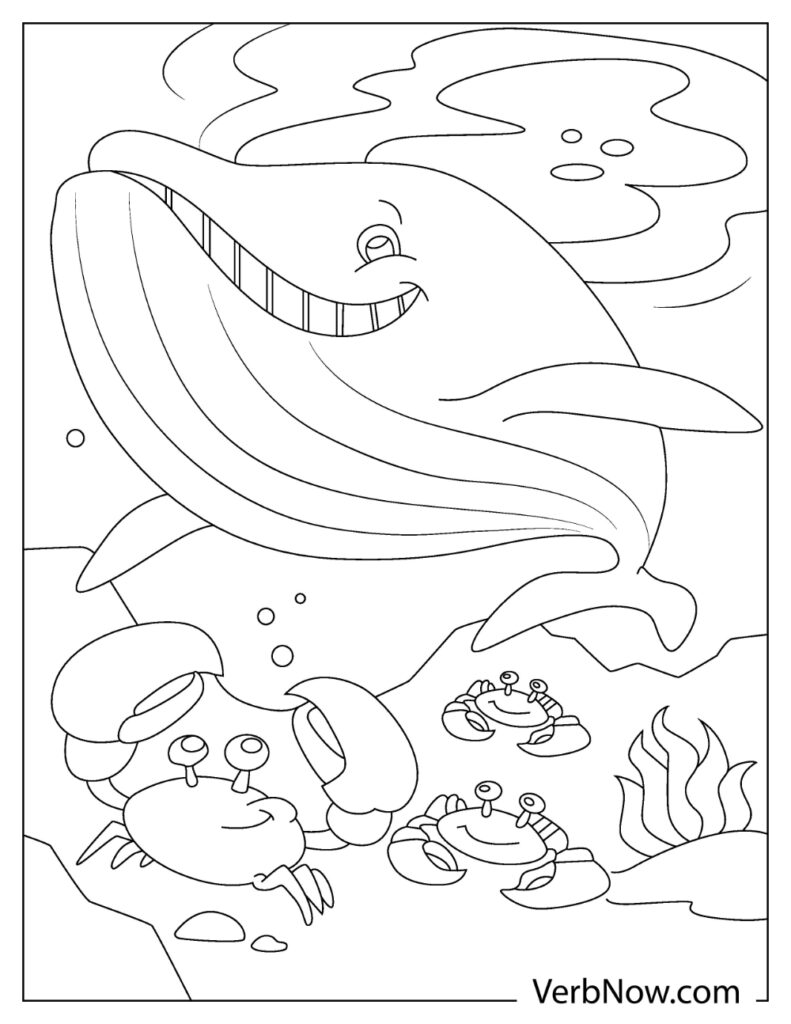 113 Whale Coloring Pages for Kids Printable 84