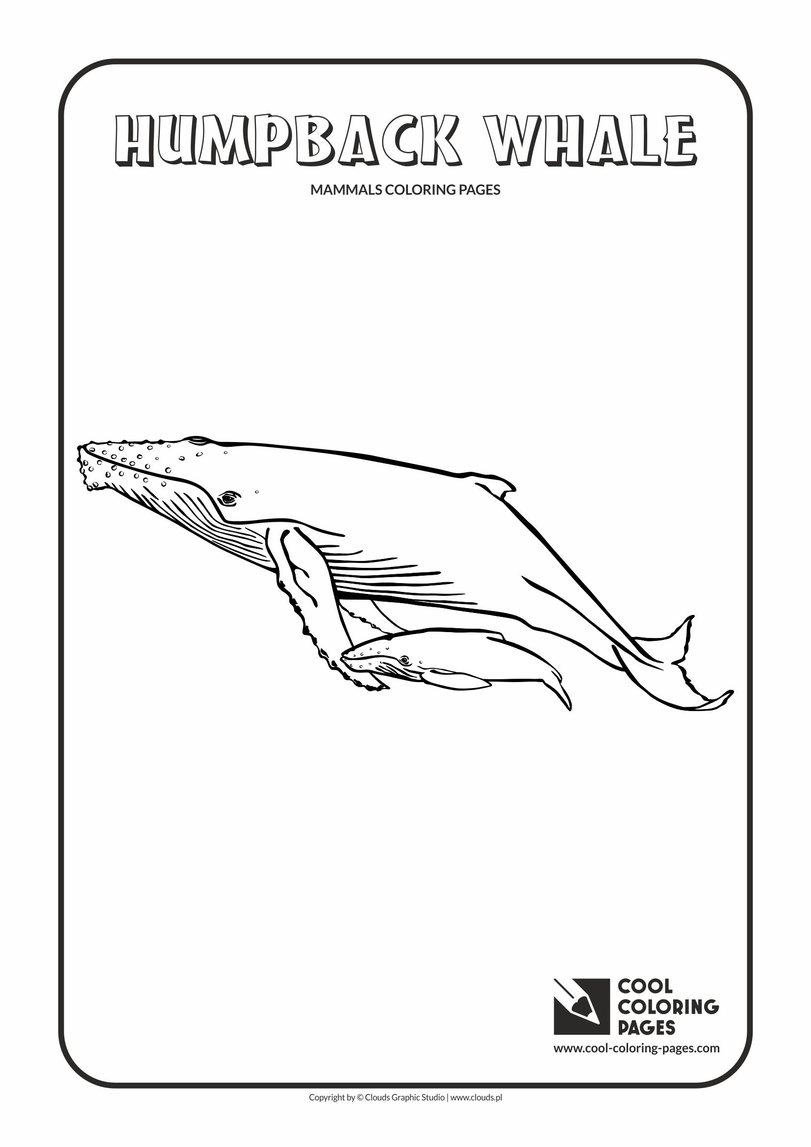 113 Whale Coloring Pages for Kids Printable 92