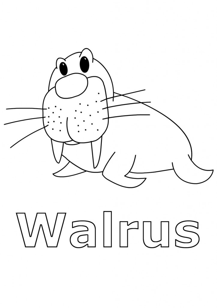 free walrus coloring pages for kids printable jpg