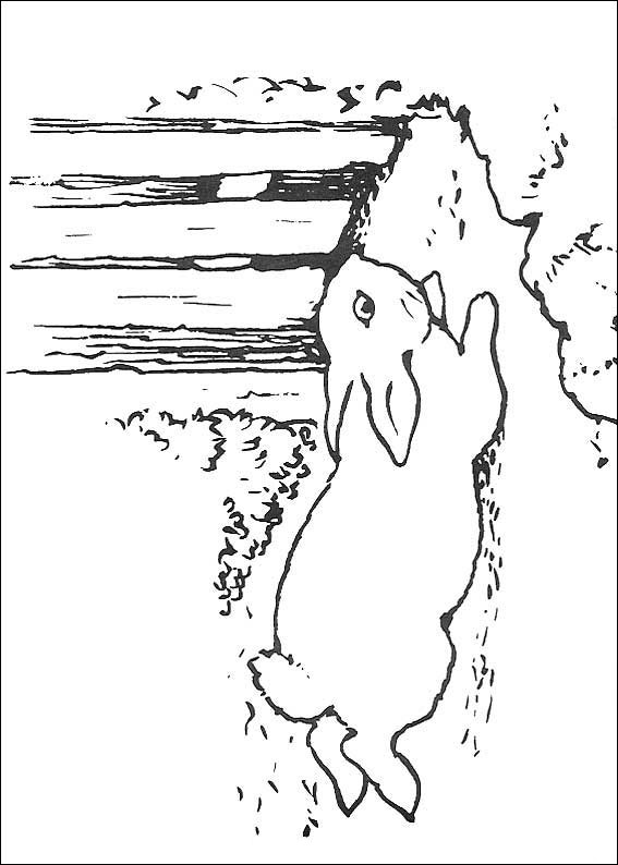 adorable peter rabbit coloring pages printable jpg