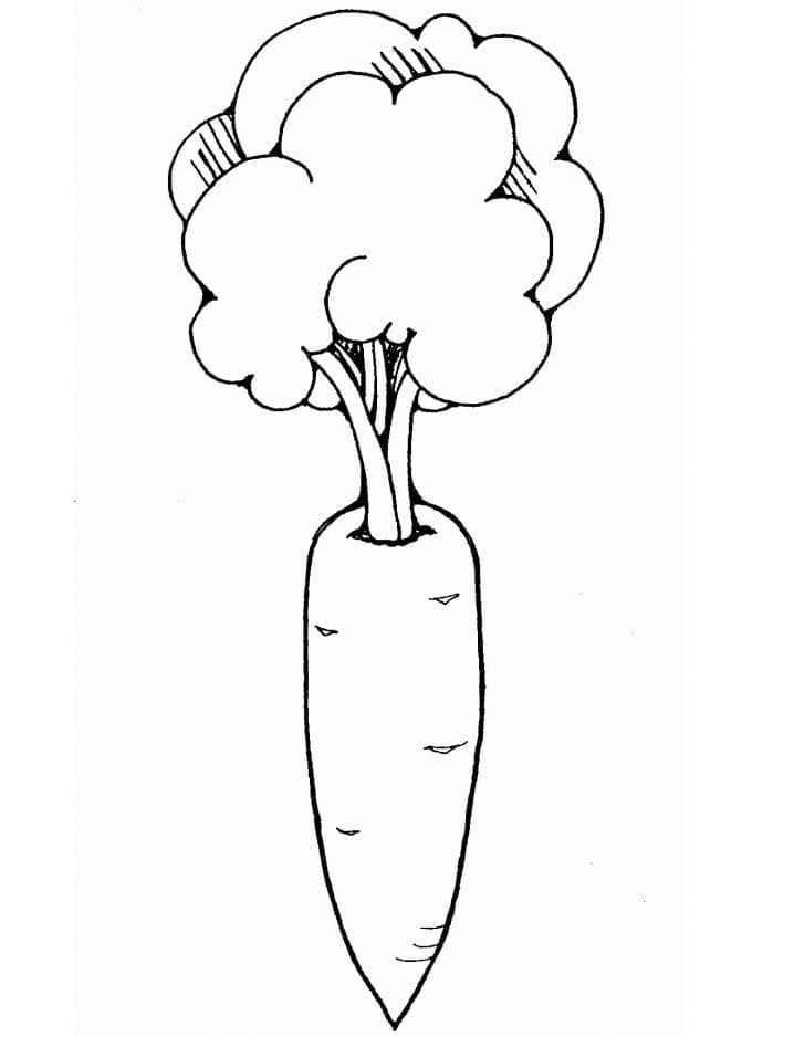 carrot coloring pages printable jpg