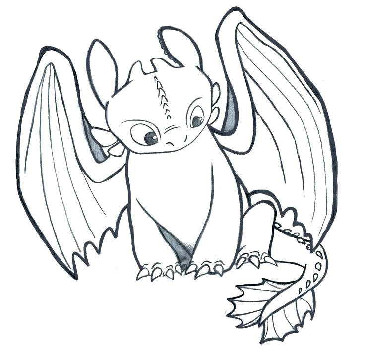 toothless coloring pages printable jpg