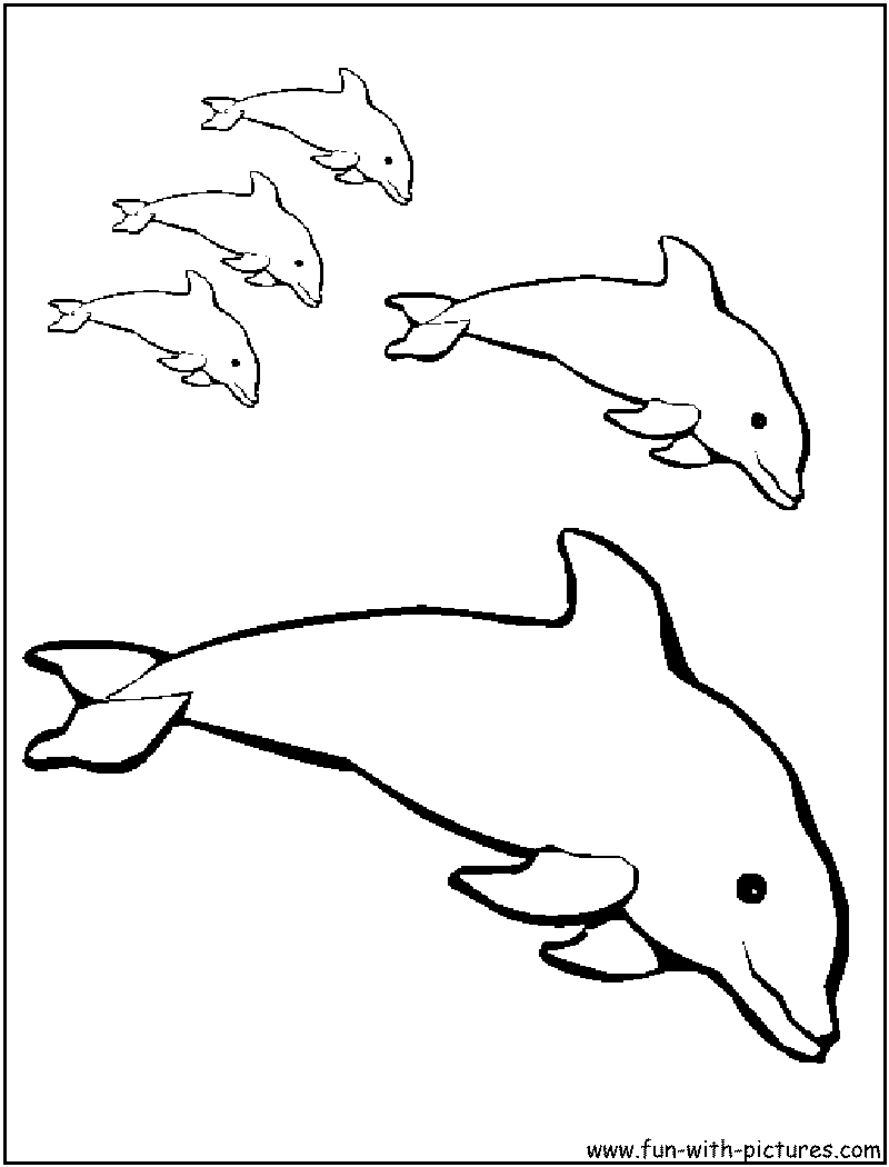 free printable dolphin coloring pages for kids jpg