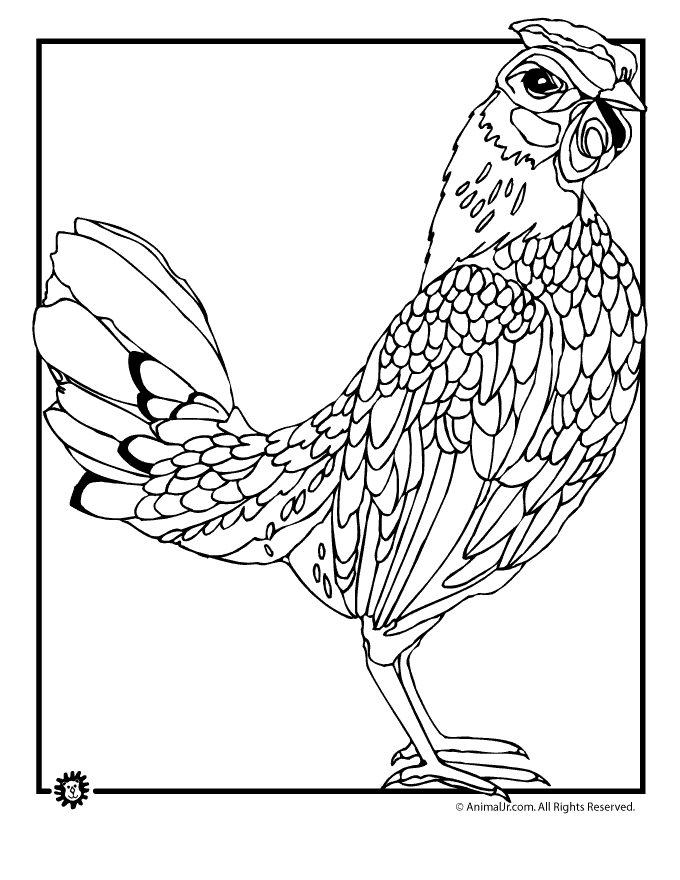 chicken coloring pages free printable jpg