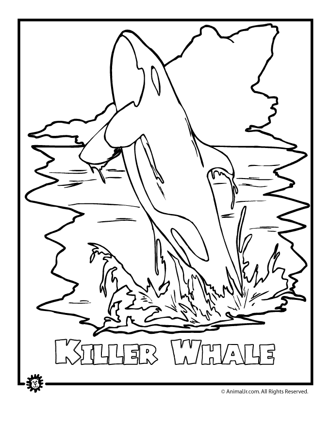 whale coloring pages for kids printable jpg