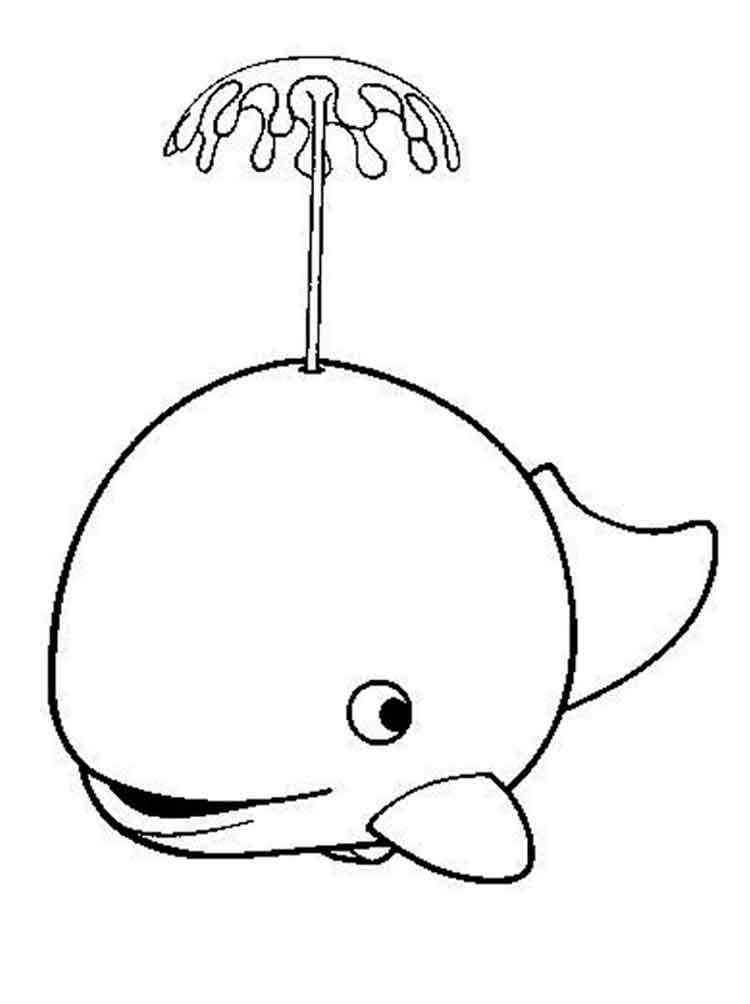 whale coloring pages for kids printable jpg