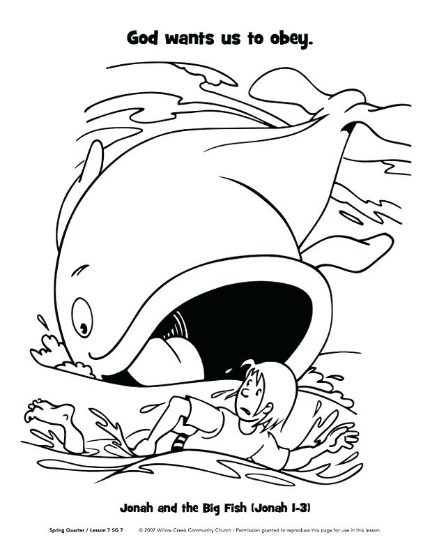 whale coloring pages for kids printable jpg