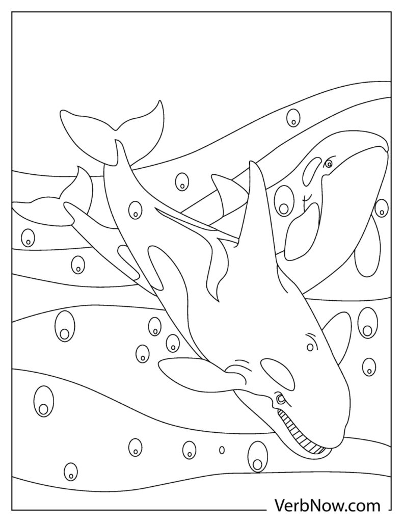 whale coloring pages for kids printable jpg